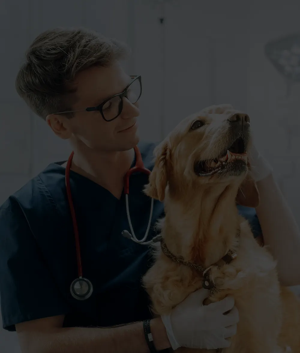 Securisez l-avenir de votre animal de compagnie